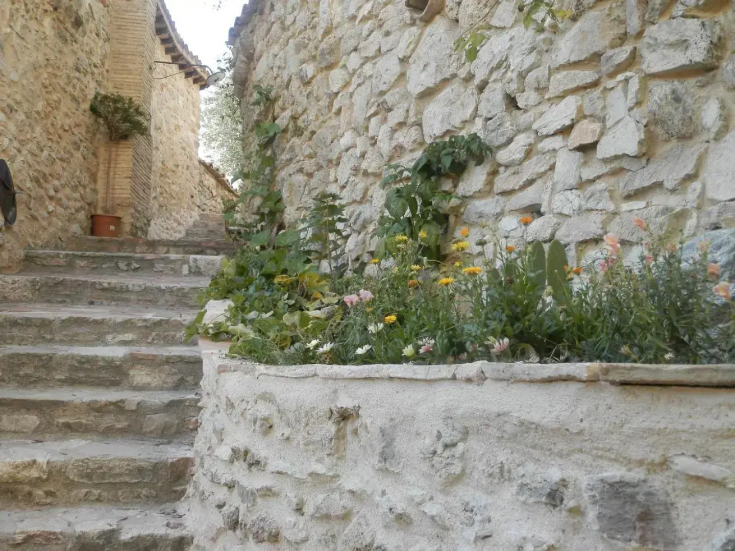 Residenza di Paese Castello del Poggio