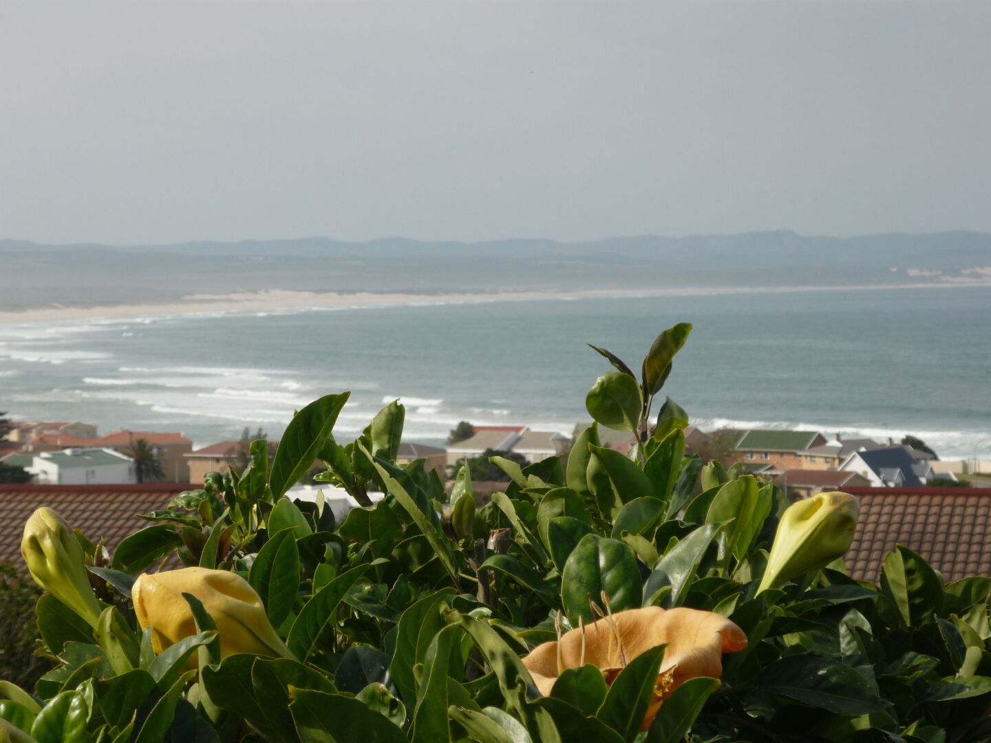 A1 Kynaston collection