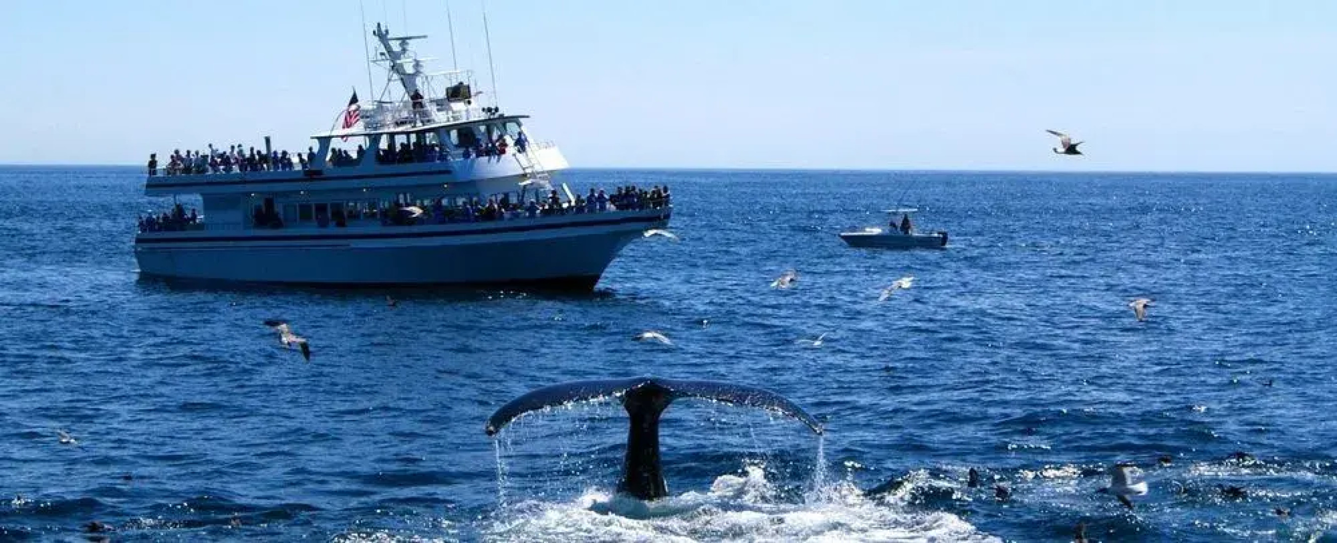 Isaiah Jones Homestead Bed & Breakfast