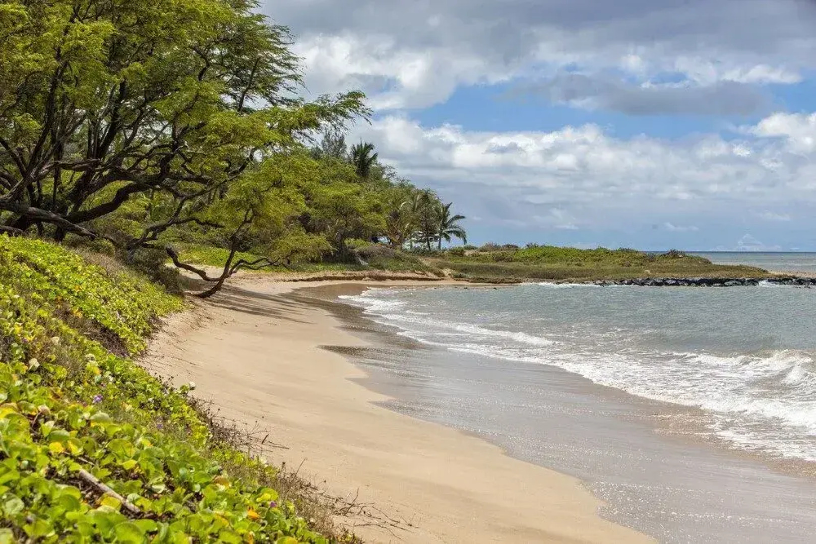 Waiohuli Beach Hale #C-110