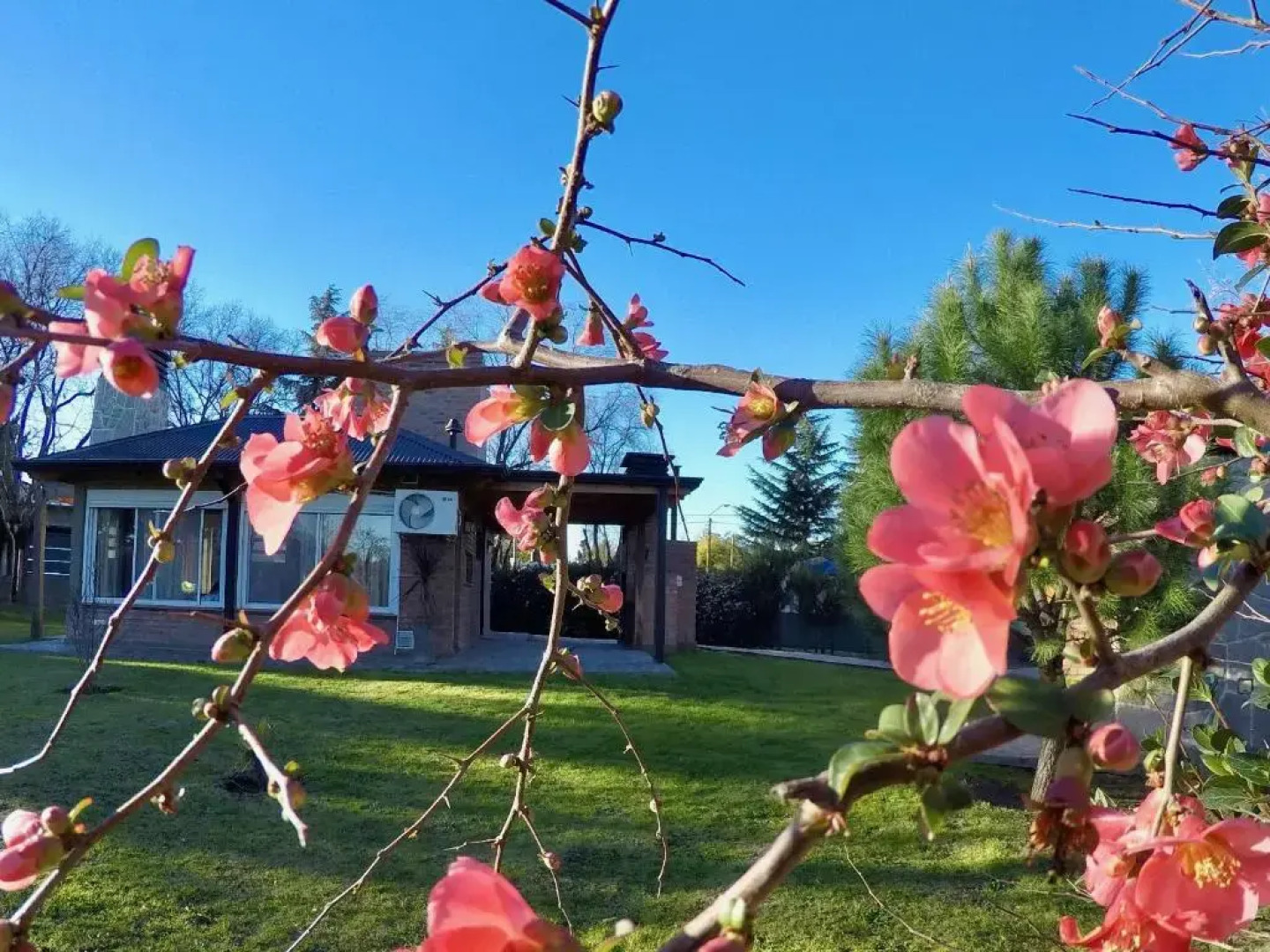 Cabañas Latitud 38.15