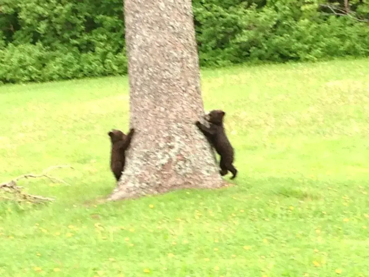 Gîte Maison Madame Alain