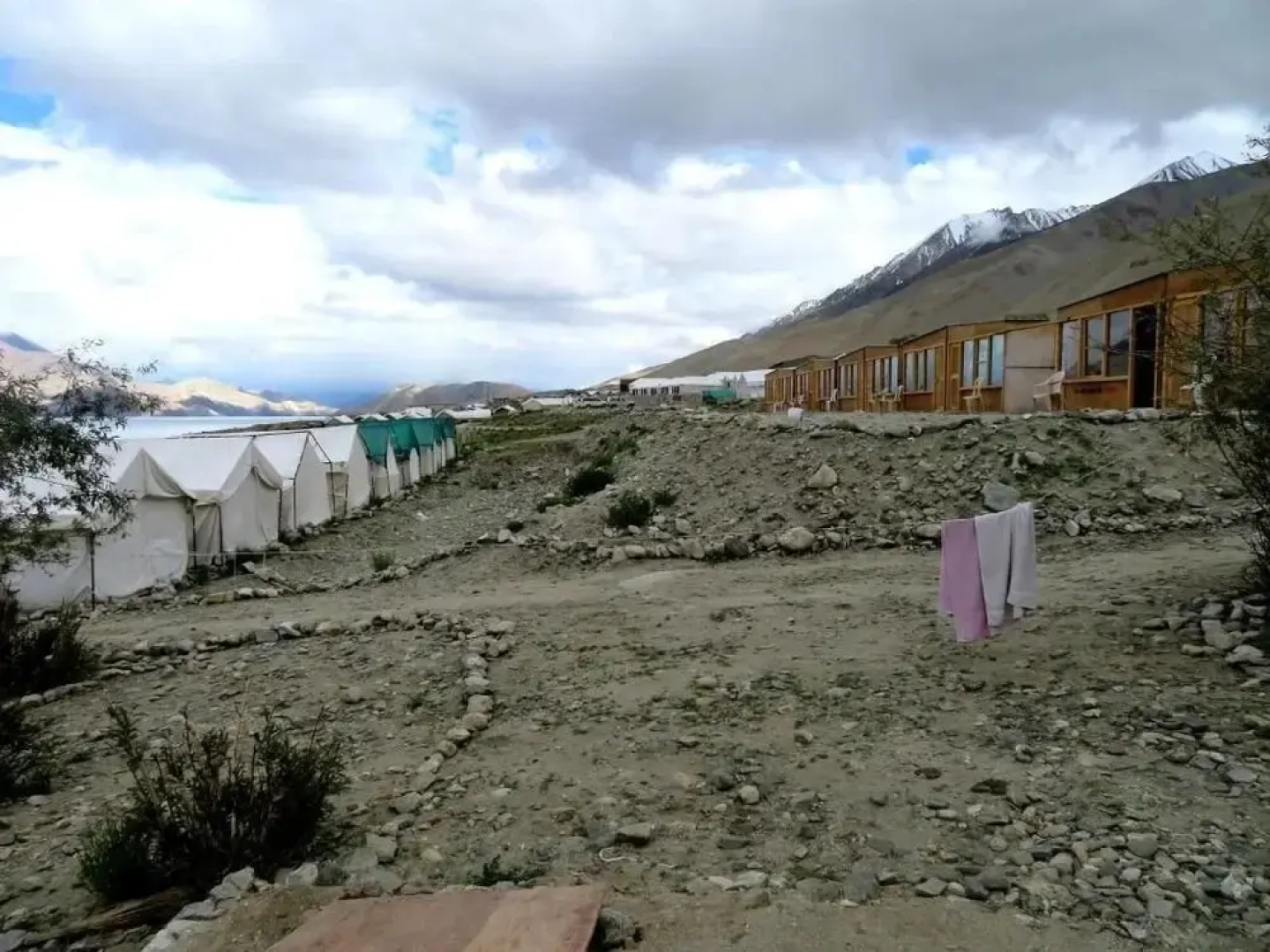 Pangong Lake View camp