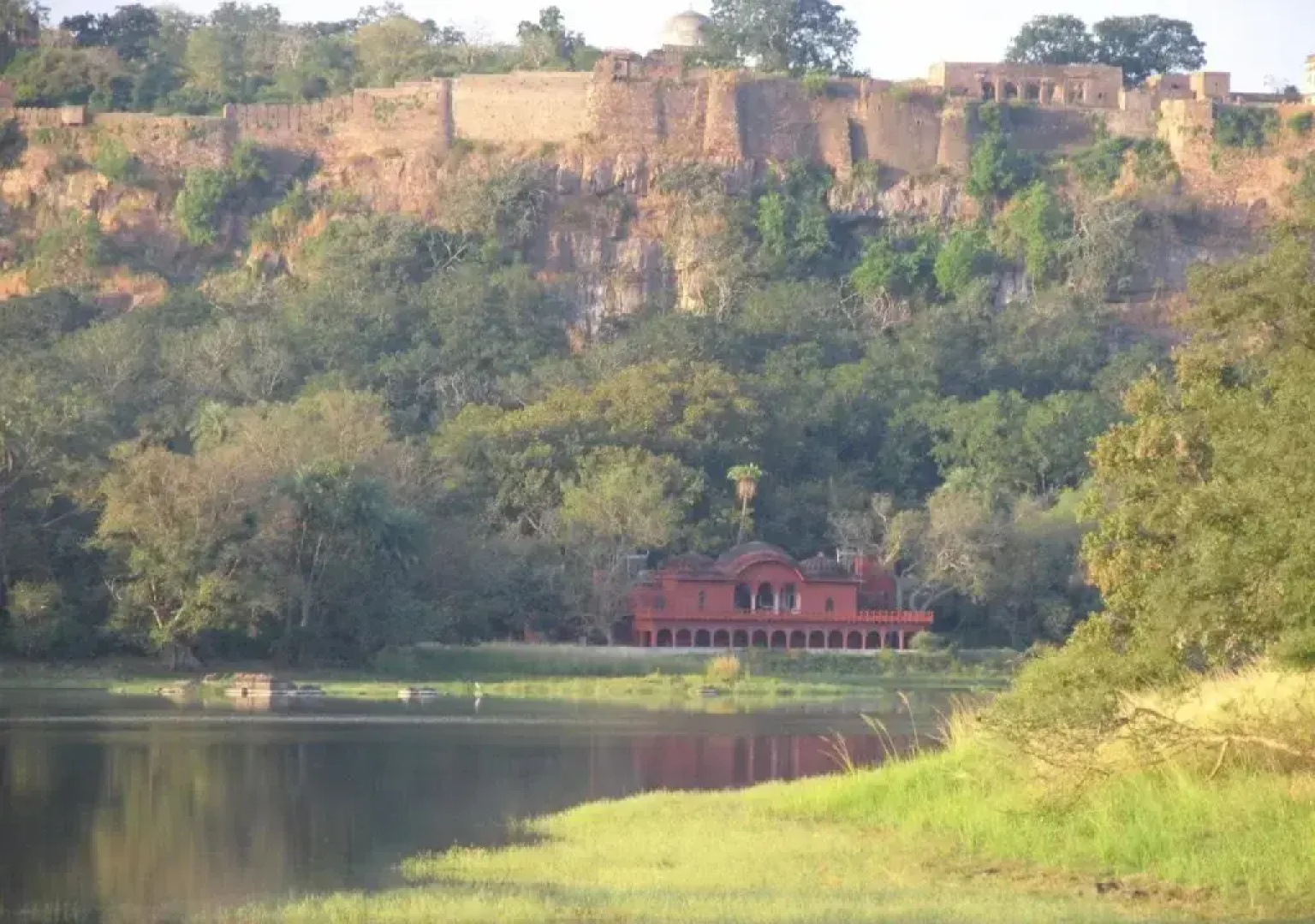 Ranthambore Tiger Home