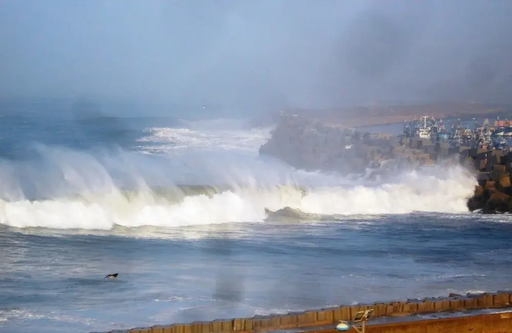 Riad Le Cheval Blanc