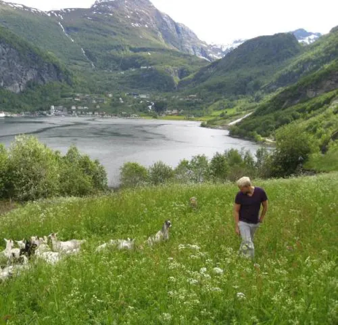 Homlong Gjestetun