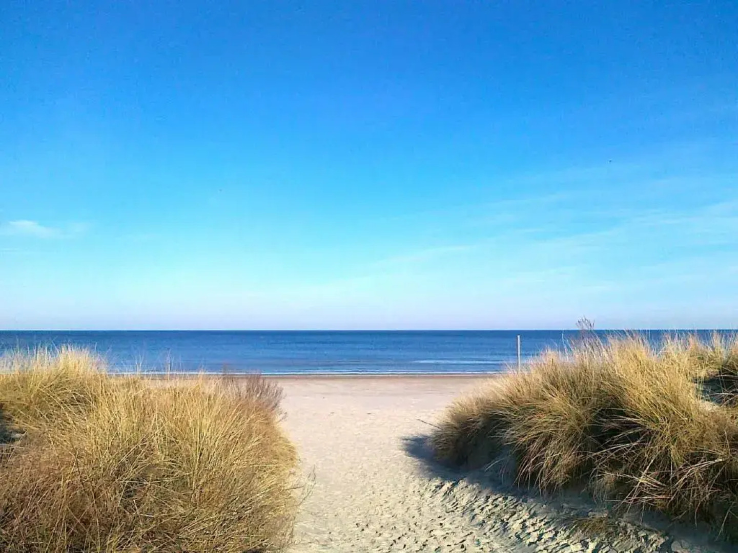 Dünenresidenz Karlshagen - Ferienwohnung Ginsterweg