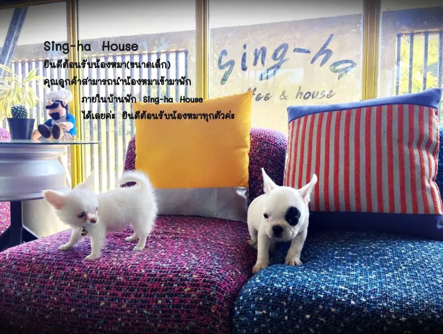 Sing-ha Coffee & House