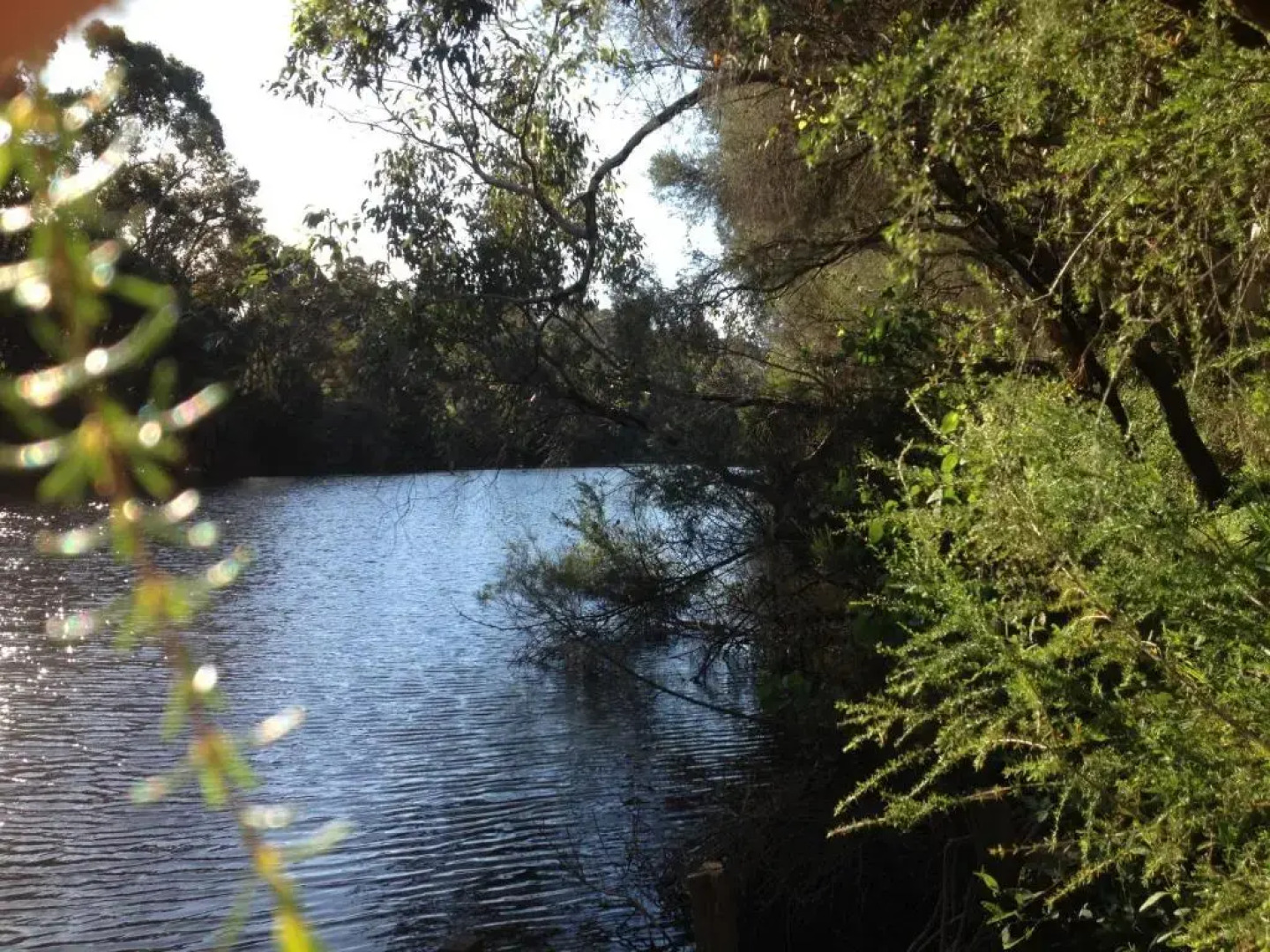 Whispering Pines Bed and Breakfast