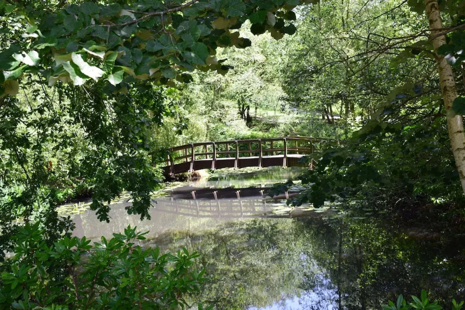 Salomons Estate