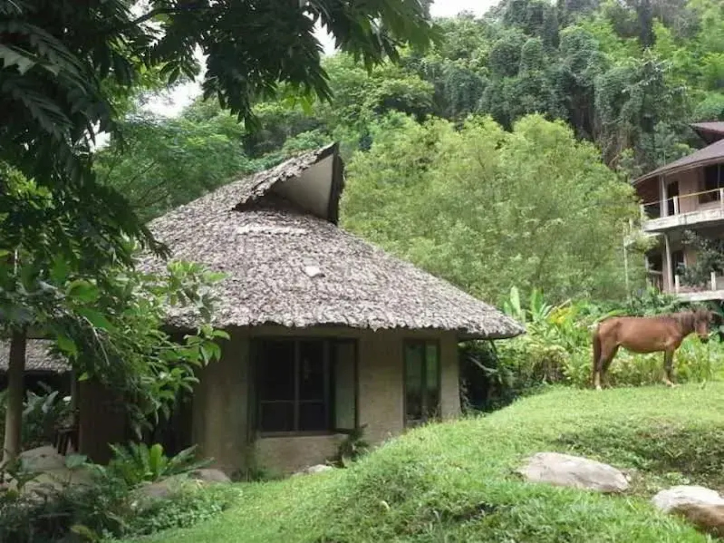 The Natural Healing Spa Retreat