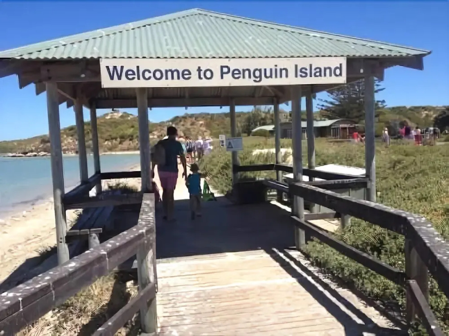 The Royal Dolphin B&B in Safety Bay