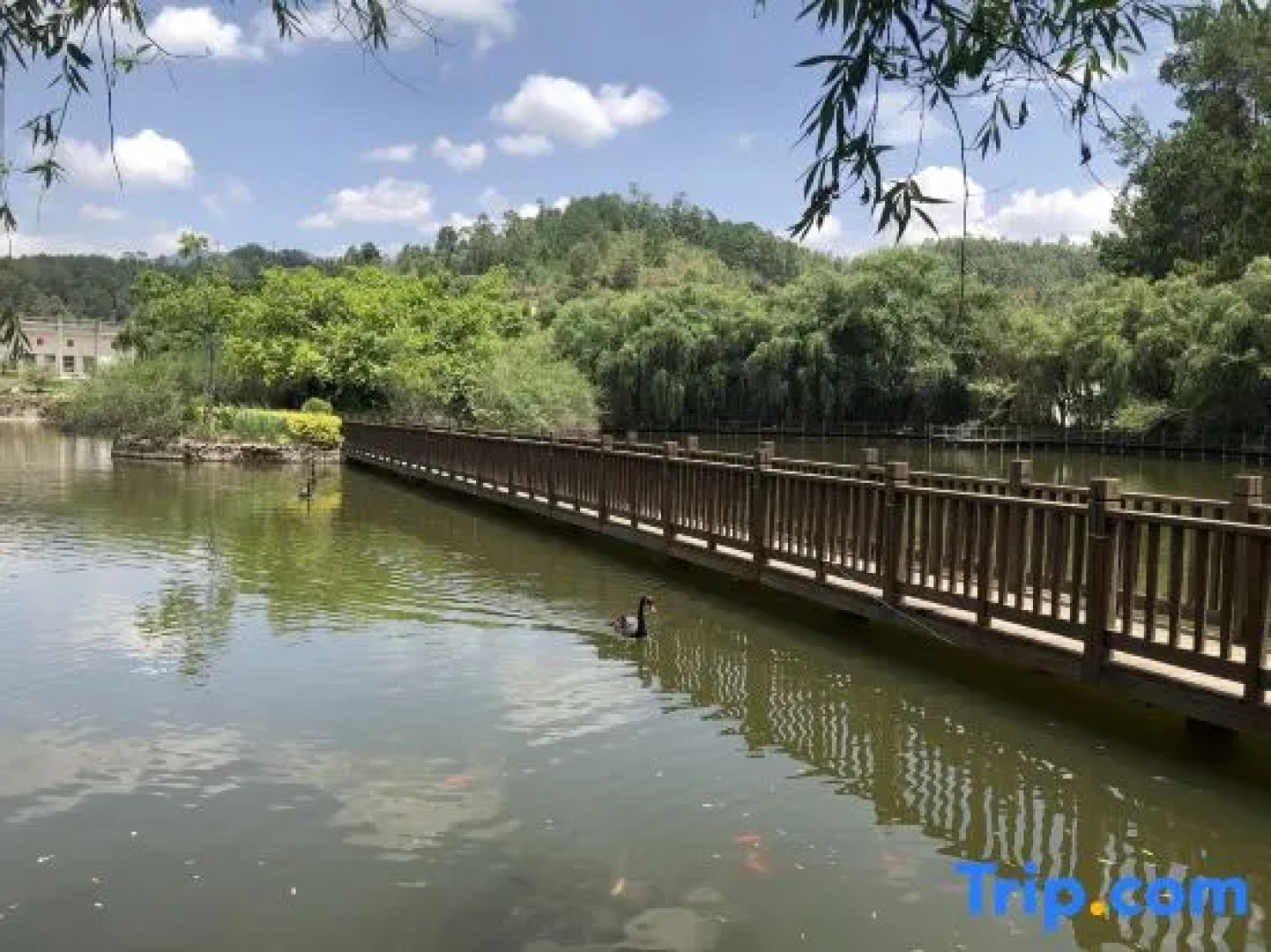 Hetang Yuechun Hotel