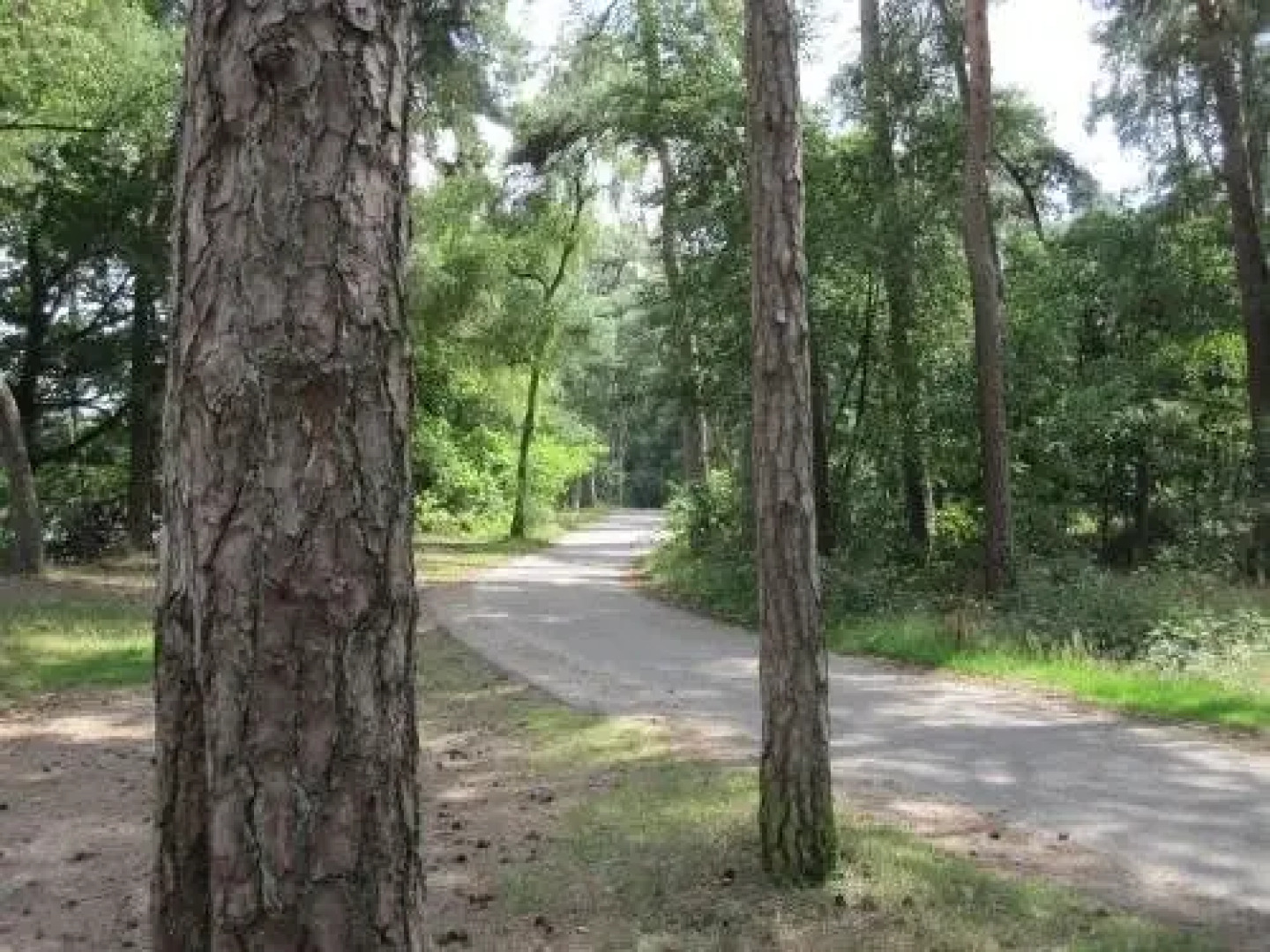 Regina Vught