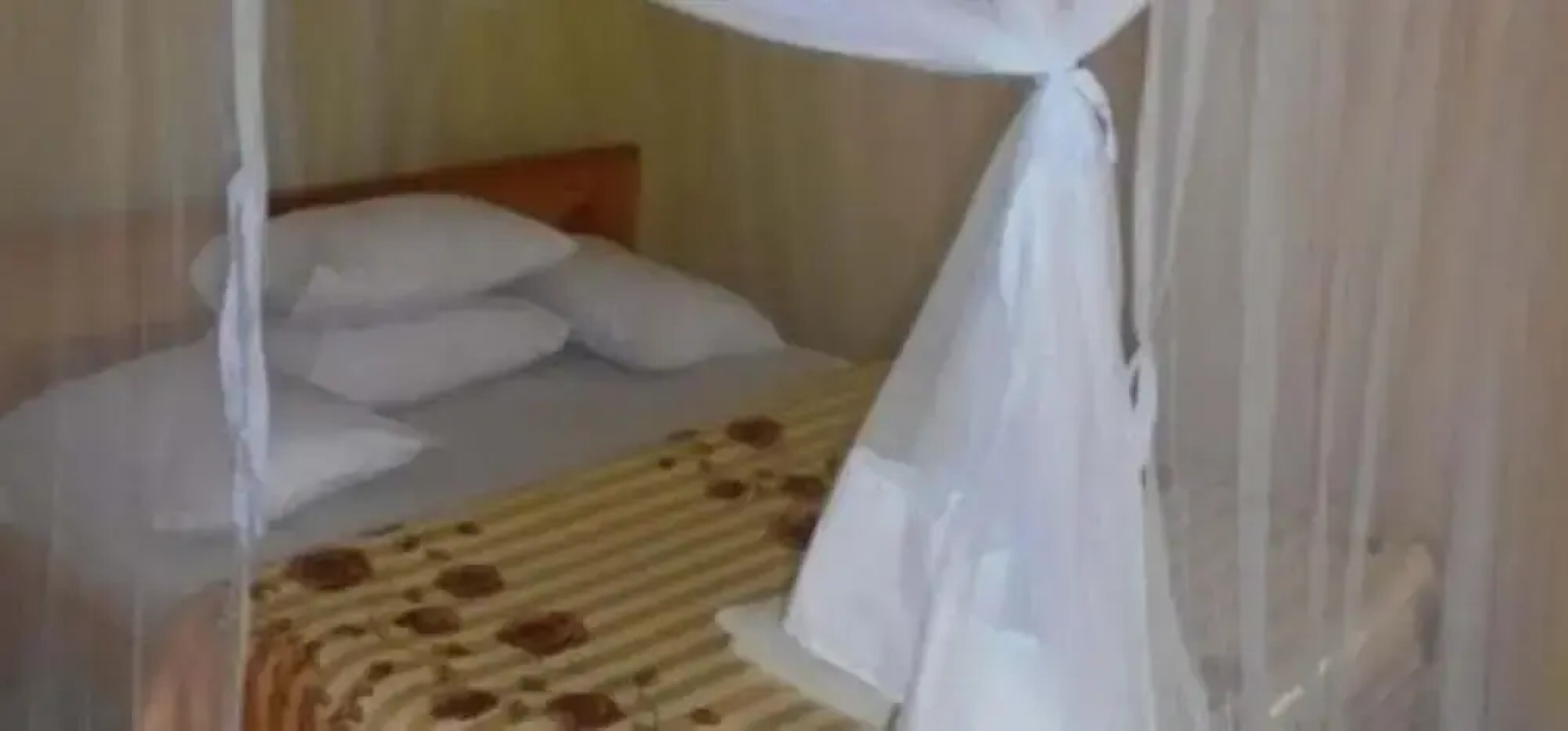 The Yellow Green Hotel