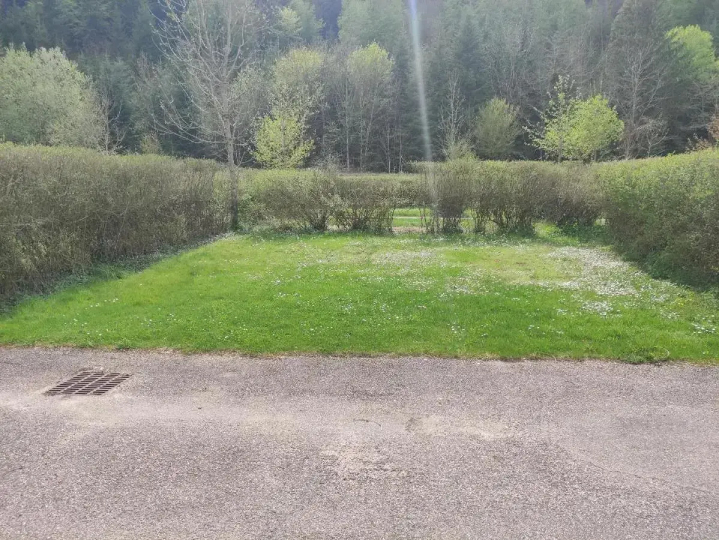 Adonis Le Signal De Nantua By Olydea