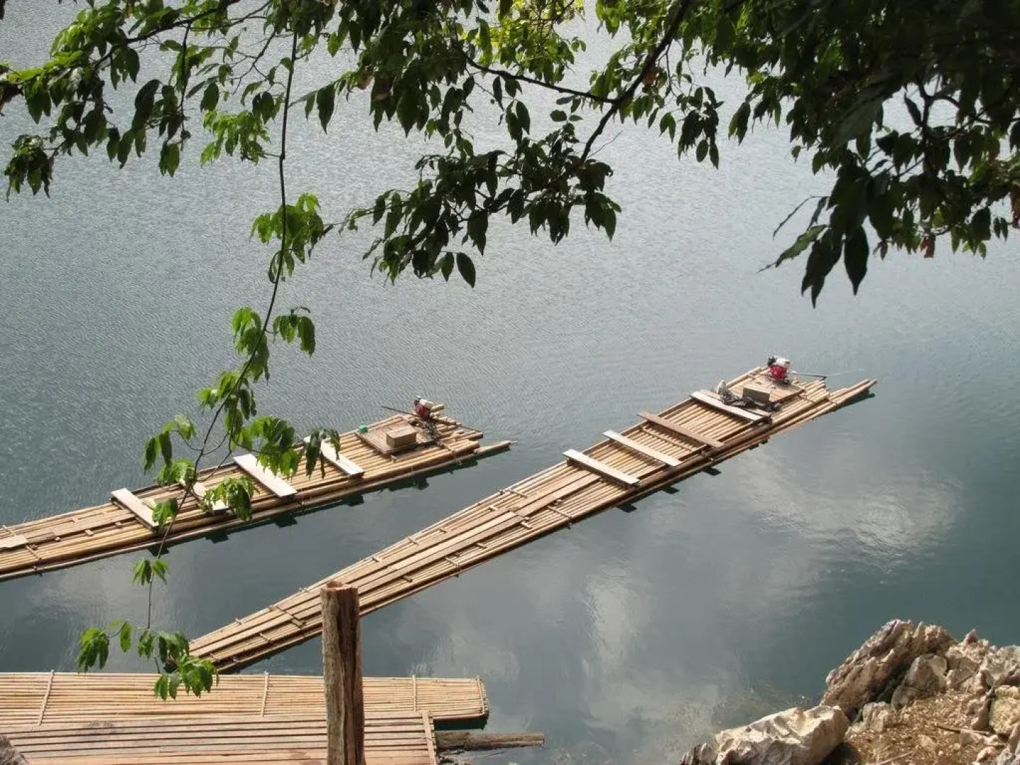 Monkey Mansion Jungalows and Tours