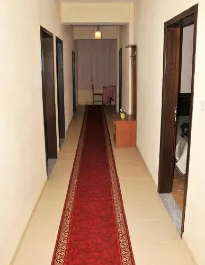 Hotel Lulishte