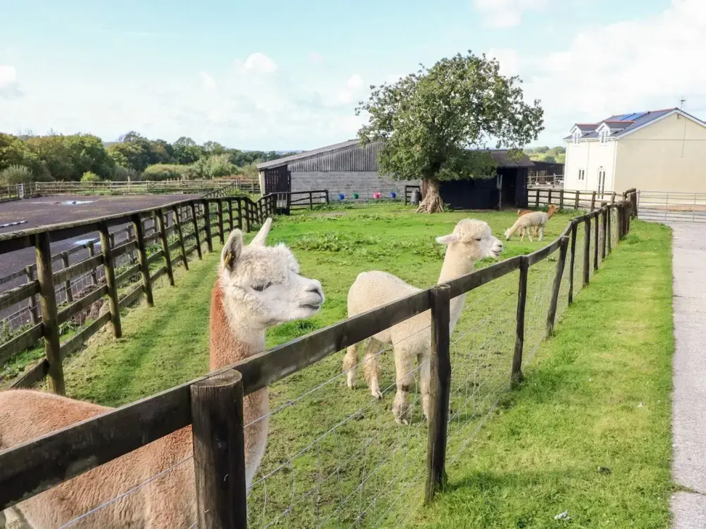 Saddlers Cottage, Berllandeg Farm