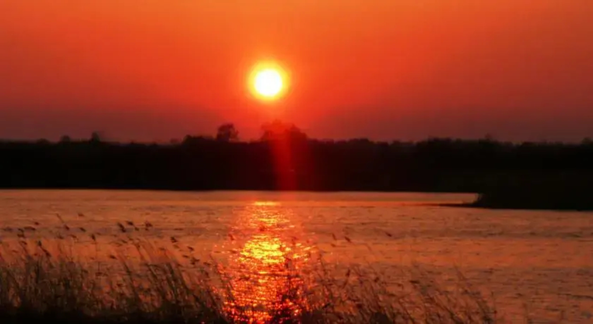 Apartment Niedras Jurmala