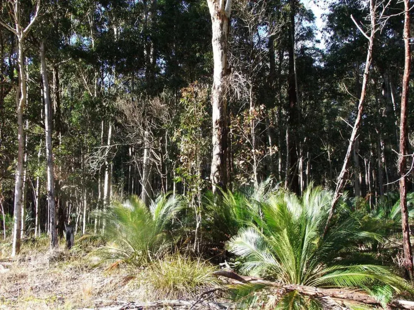 The Bower at Broulee