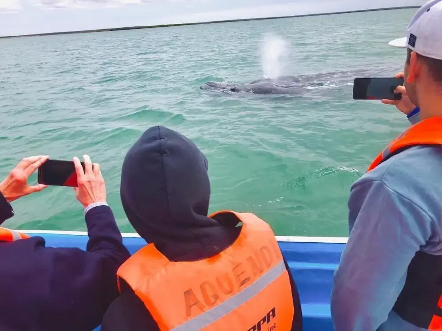 The Islands of Loreto Resort and Spa