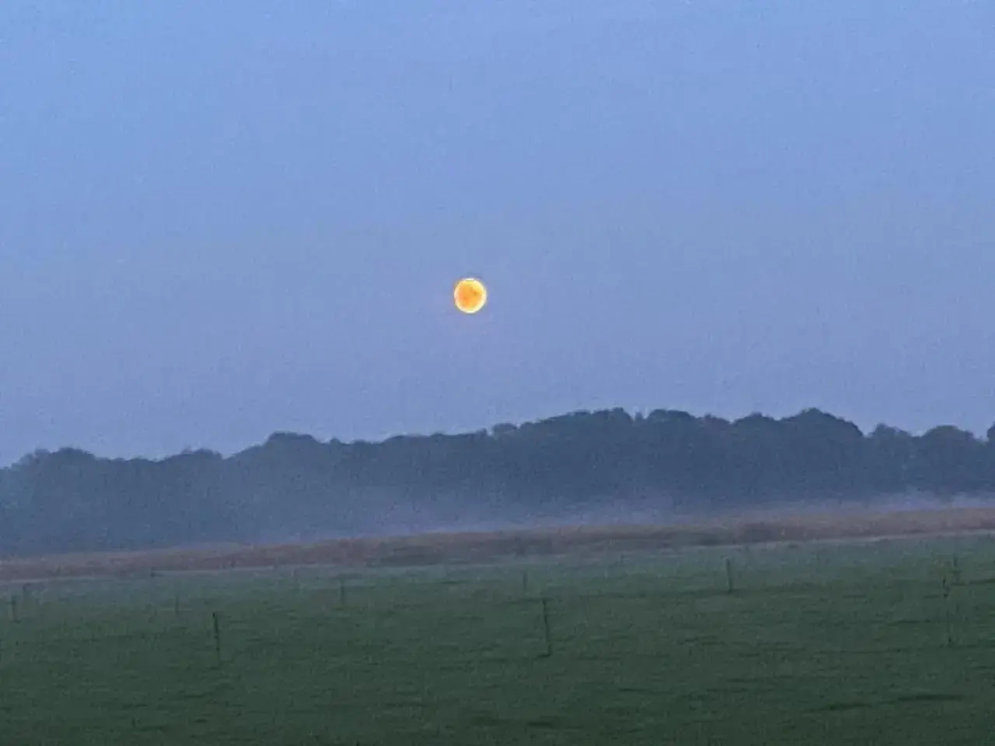 Ecolodge Bergzicht - 4p vakantiehuis aan het bos