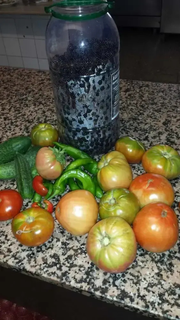 Pensión Rural Arroyo la Teja