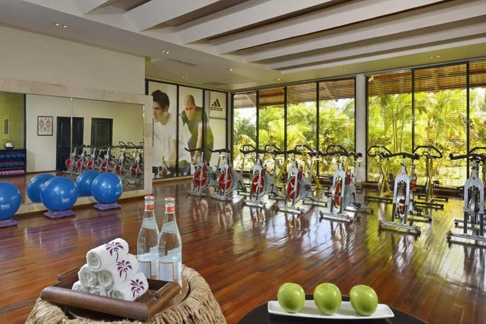 Paradisus Punta Cana Resort-All Inclusive