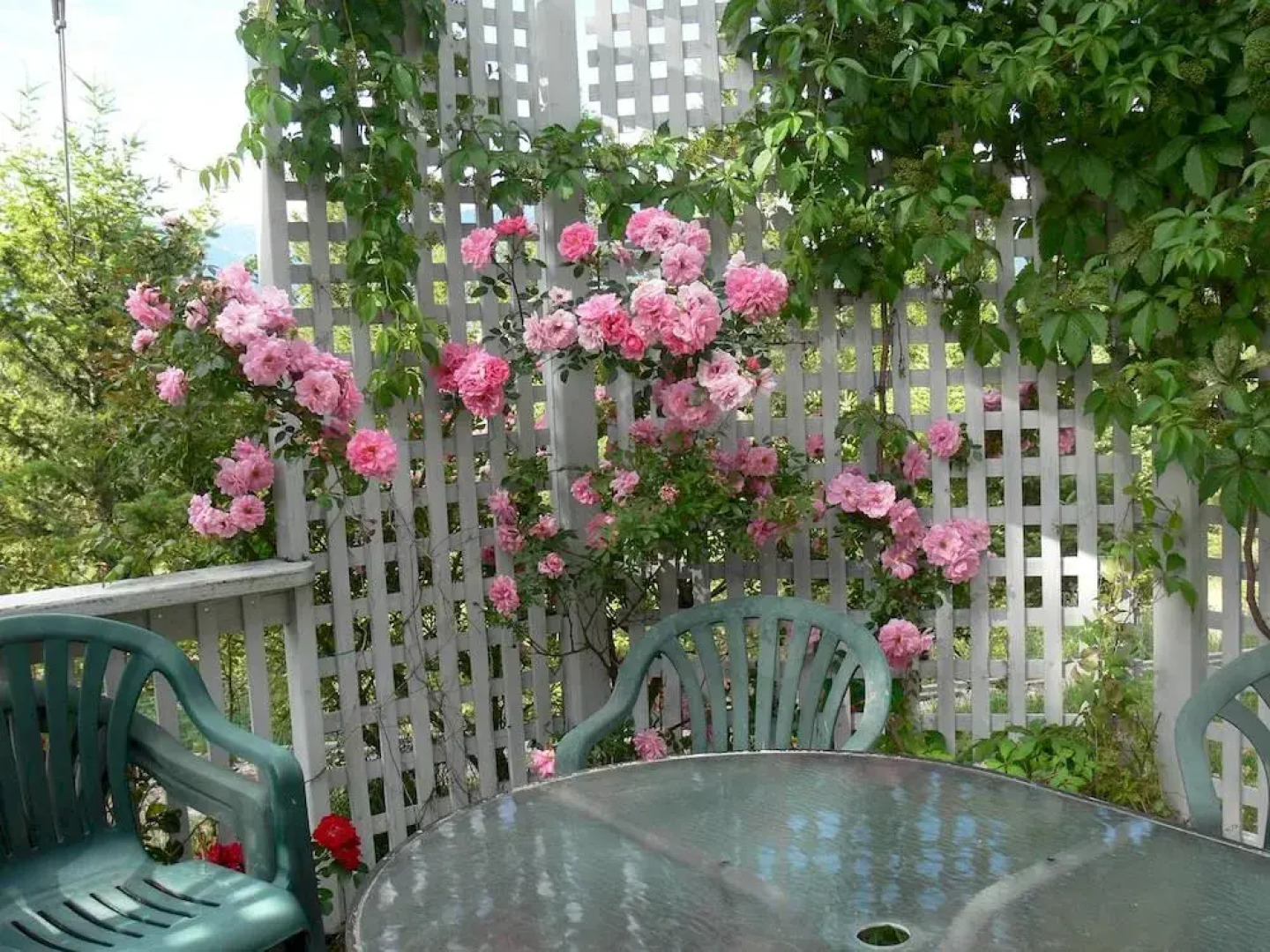 Mountainview Bed & Breakfast