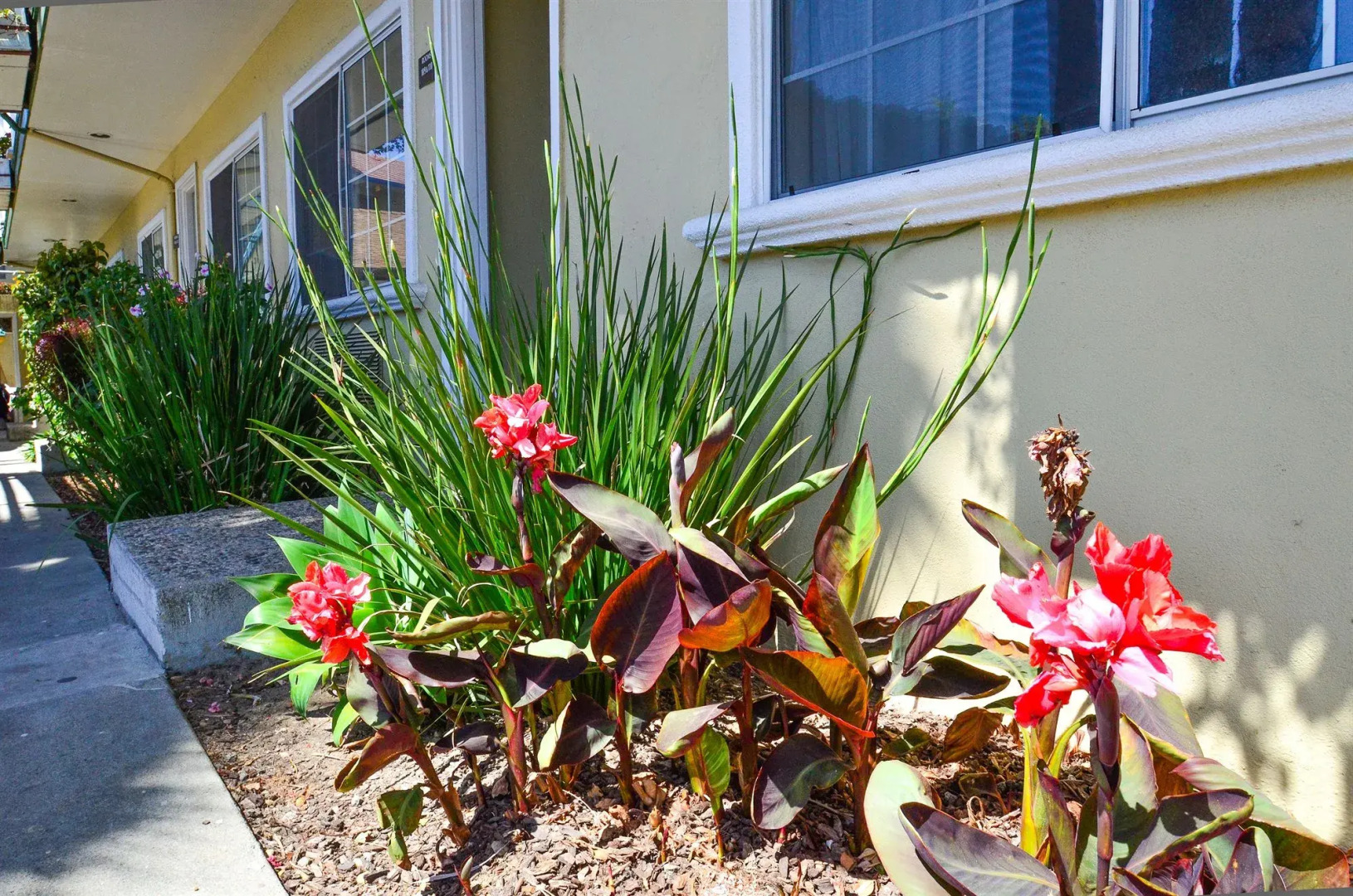 Bay Front Inn Santa Cruz