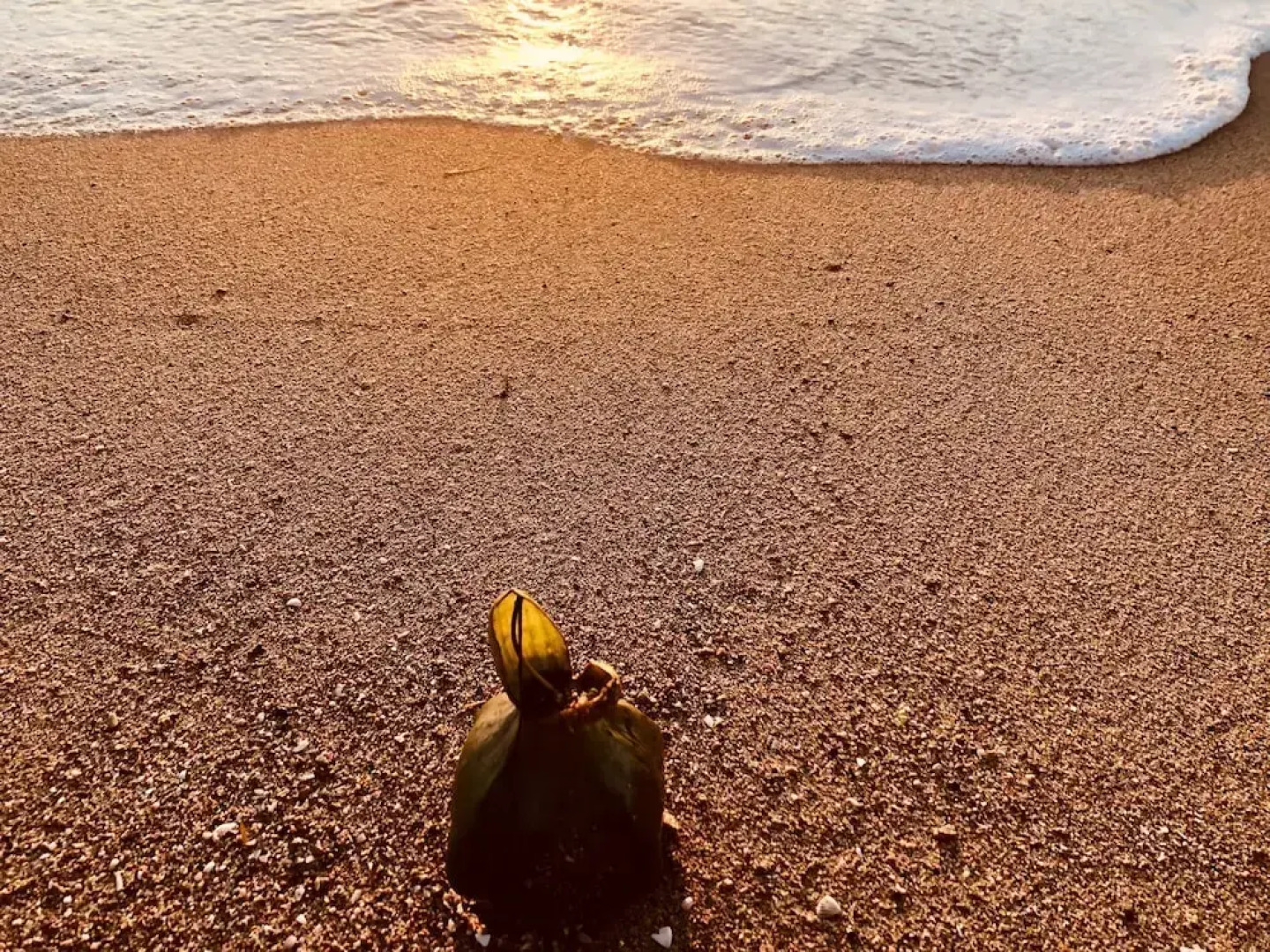 293 on Komba Guest Lodge - Adults Only