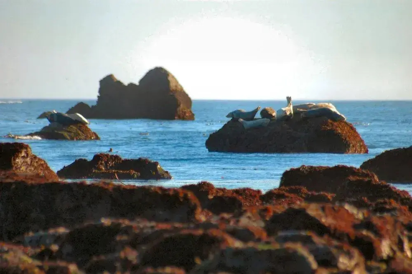 Hampton Inn & Suites Crescent Cty