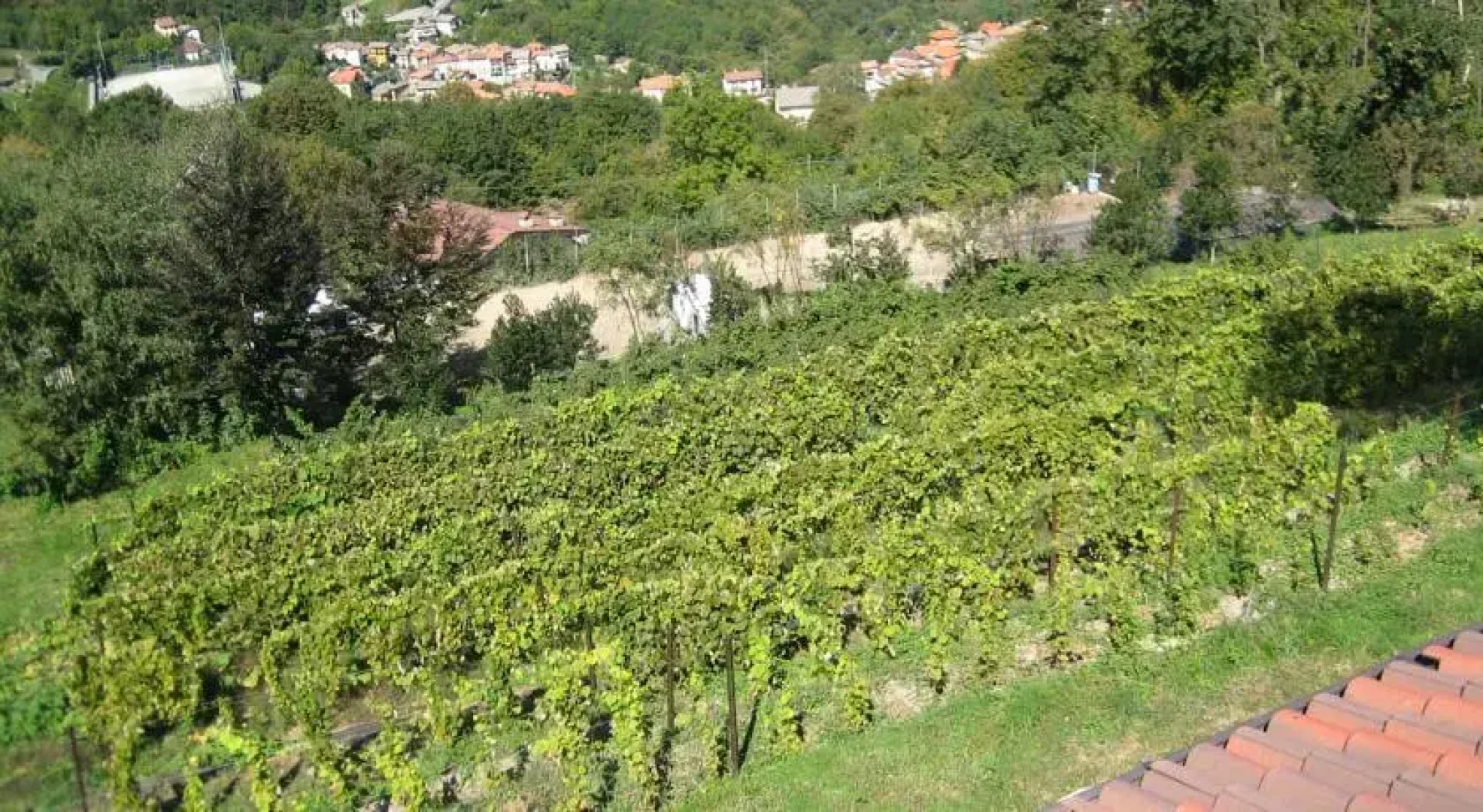 Agriturismo Al Marnich