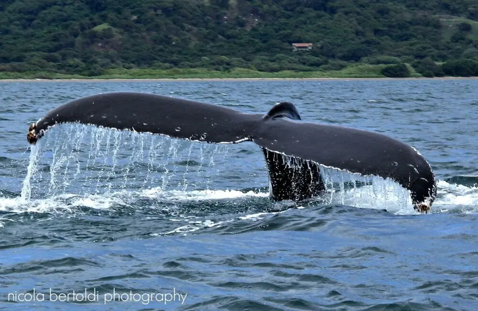 Blue Dream Kiteboarding Resort