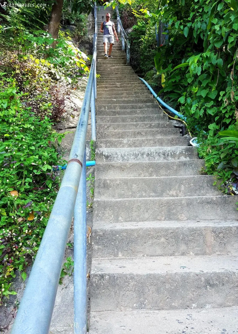 Phi Phi Arboreal Resort