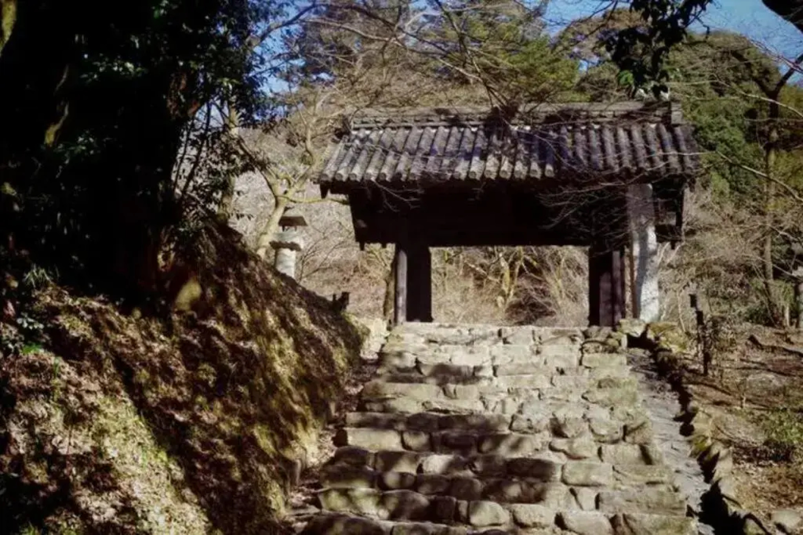 Akizuki Gallery House