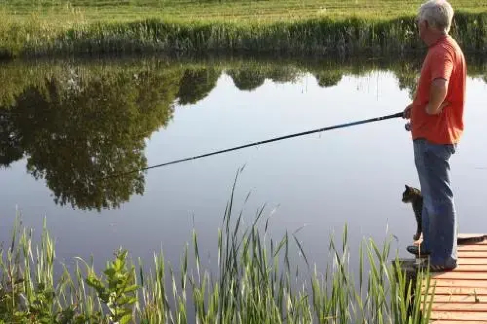 Gospodarstwo Agroturystyczne Krzewinka