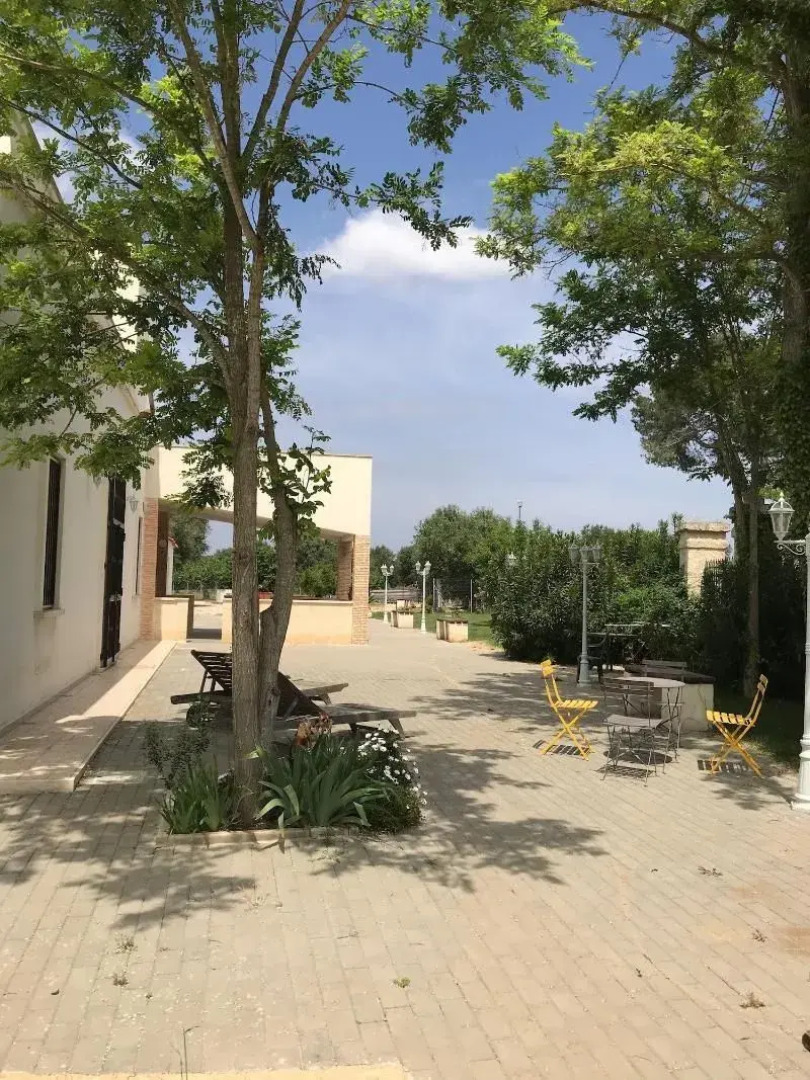 Il Casolare degli Ulivi