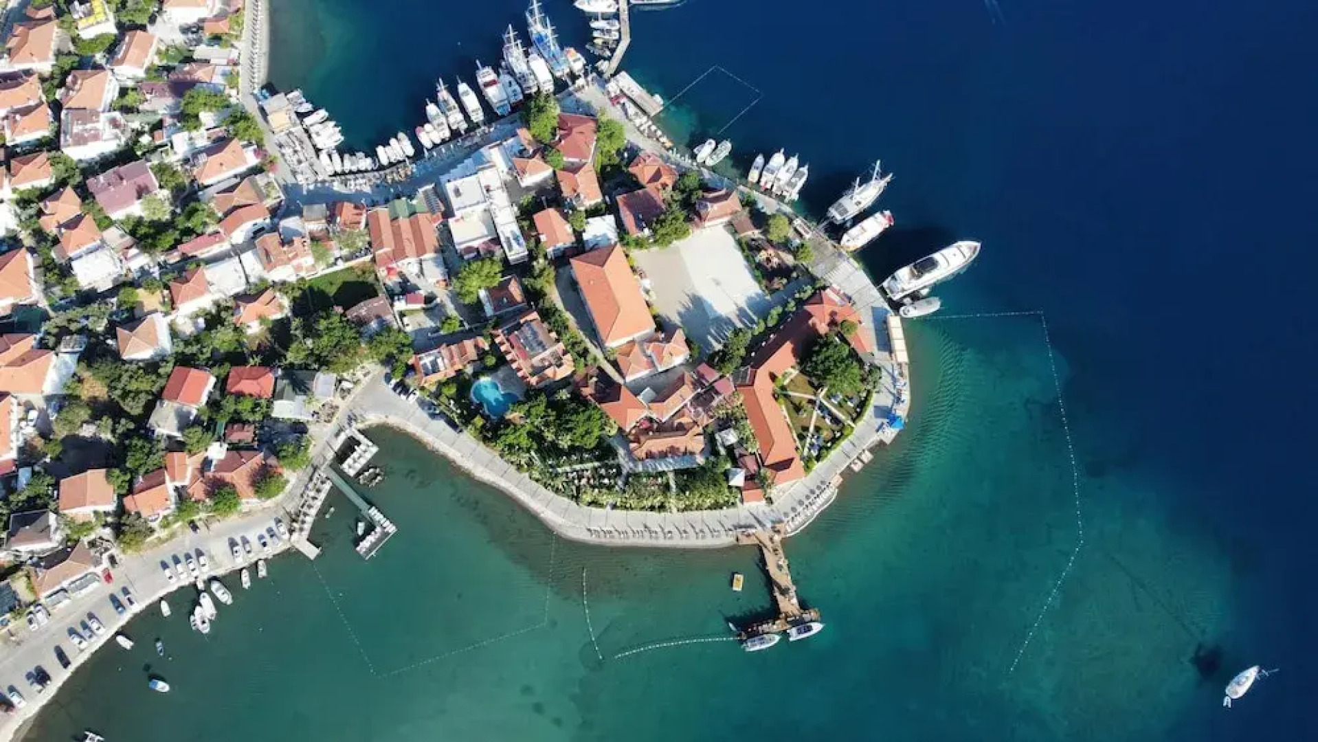 Palmetto Resort Hotel