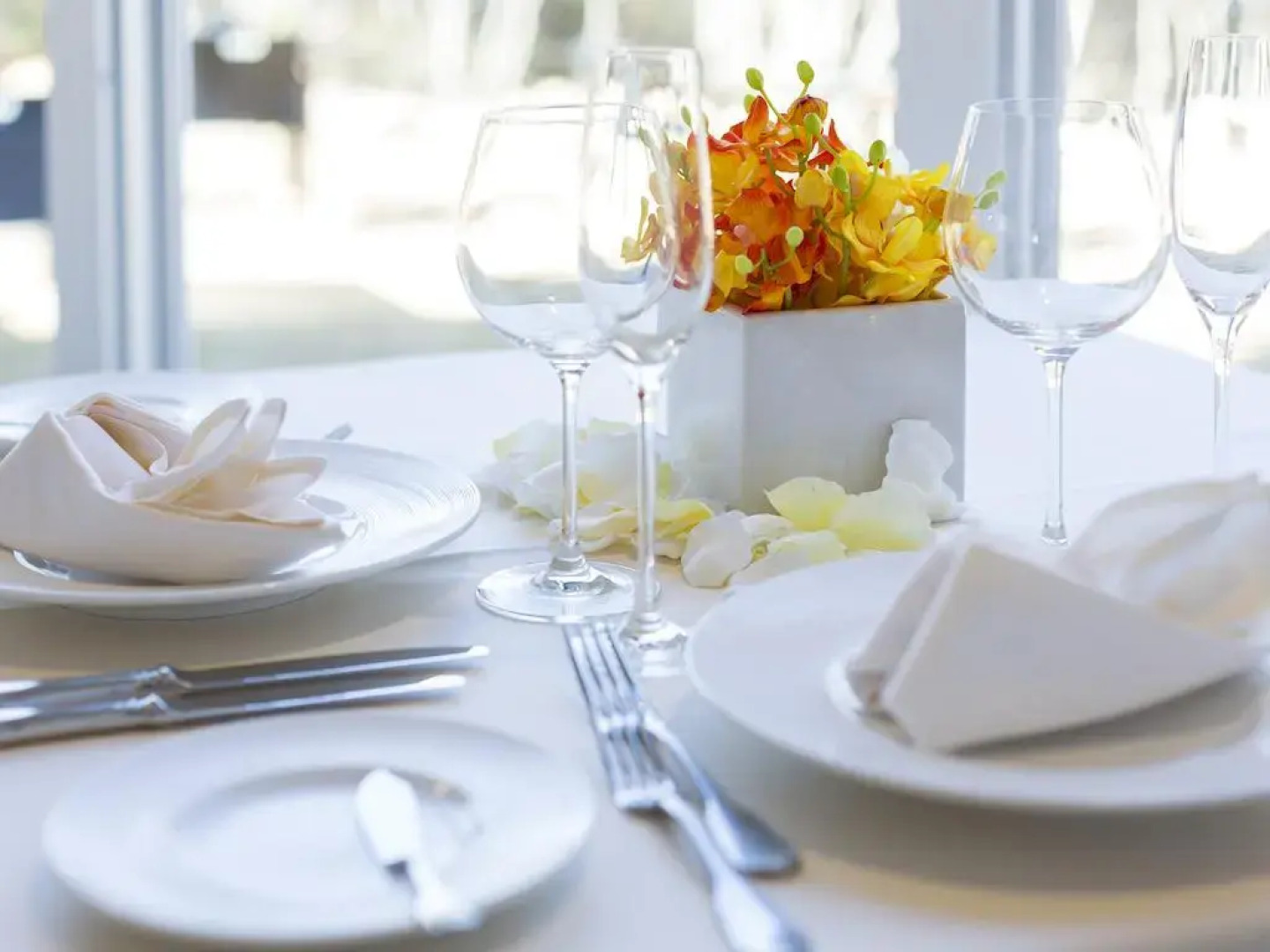 Hotel Holistic Resort