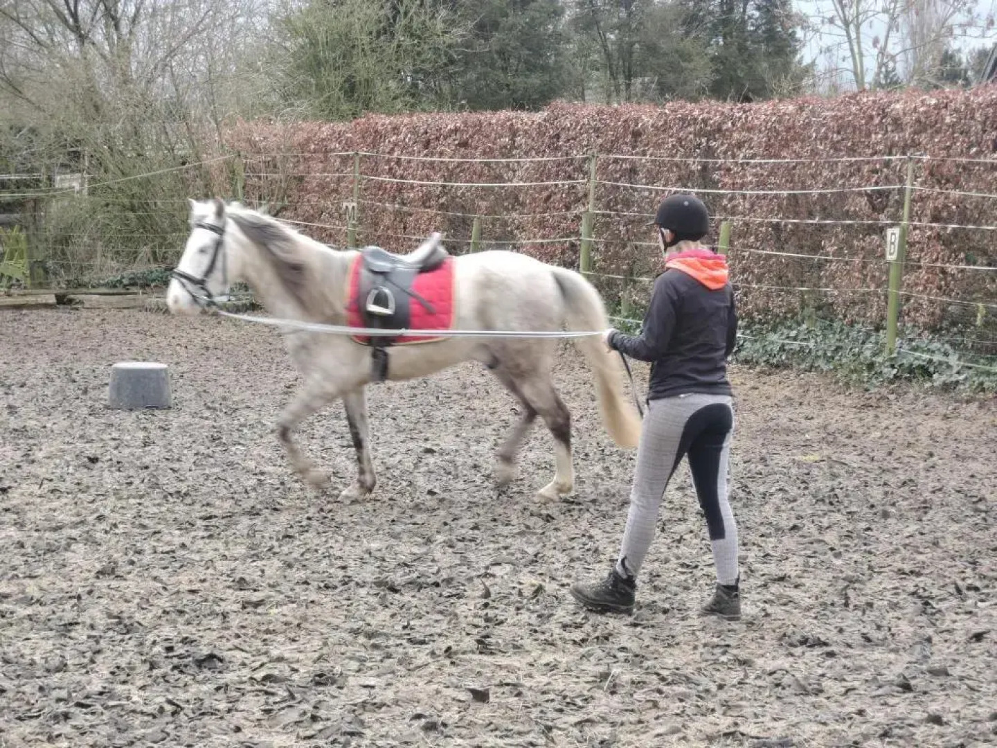 Vakantie appartement Paedshof Ransdaal