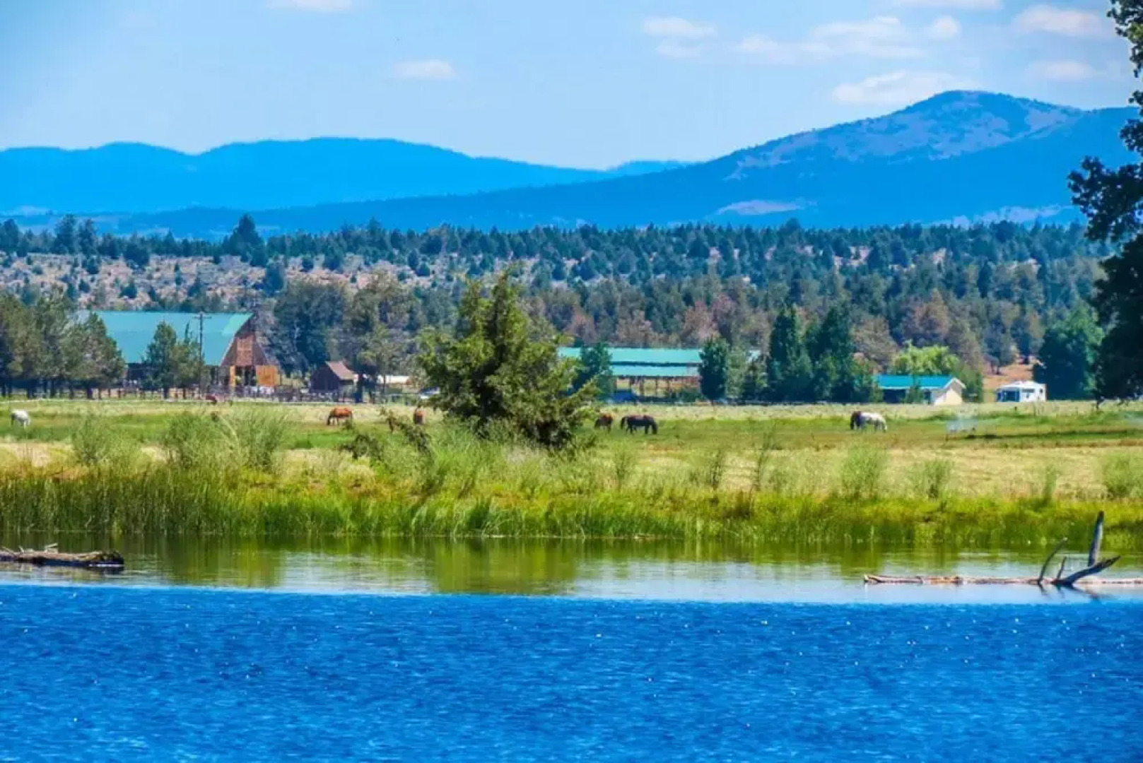 Long Hollow Guest Ranch