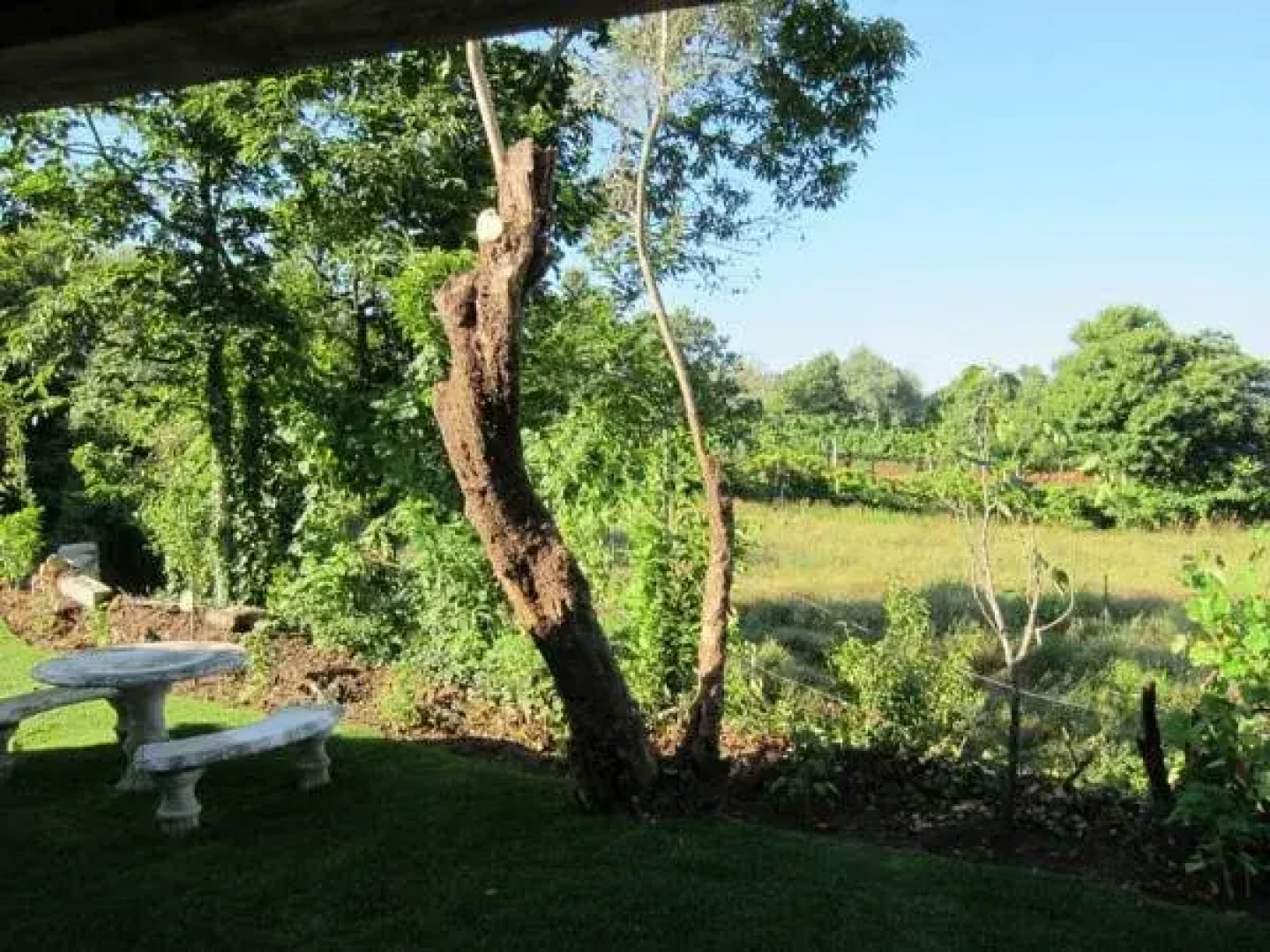 Quinta Vale do Homem