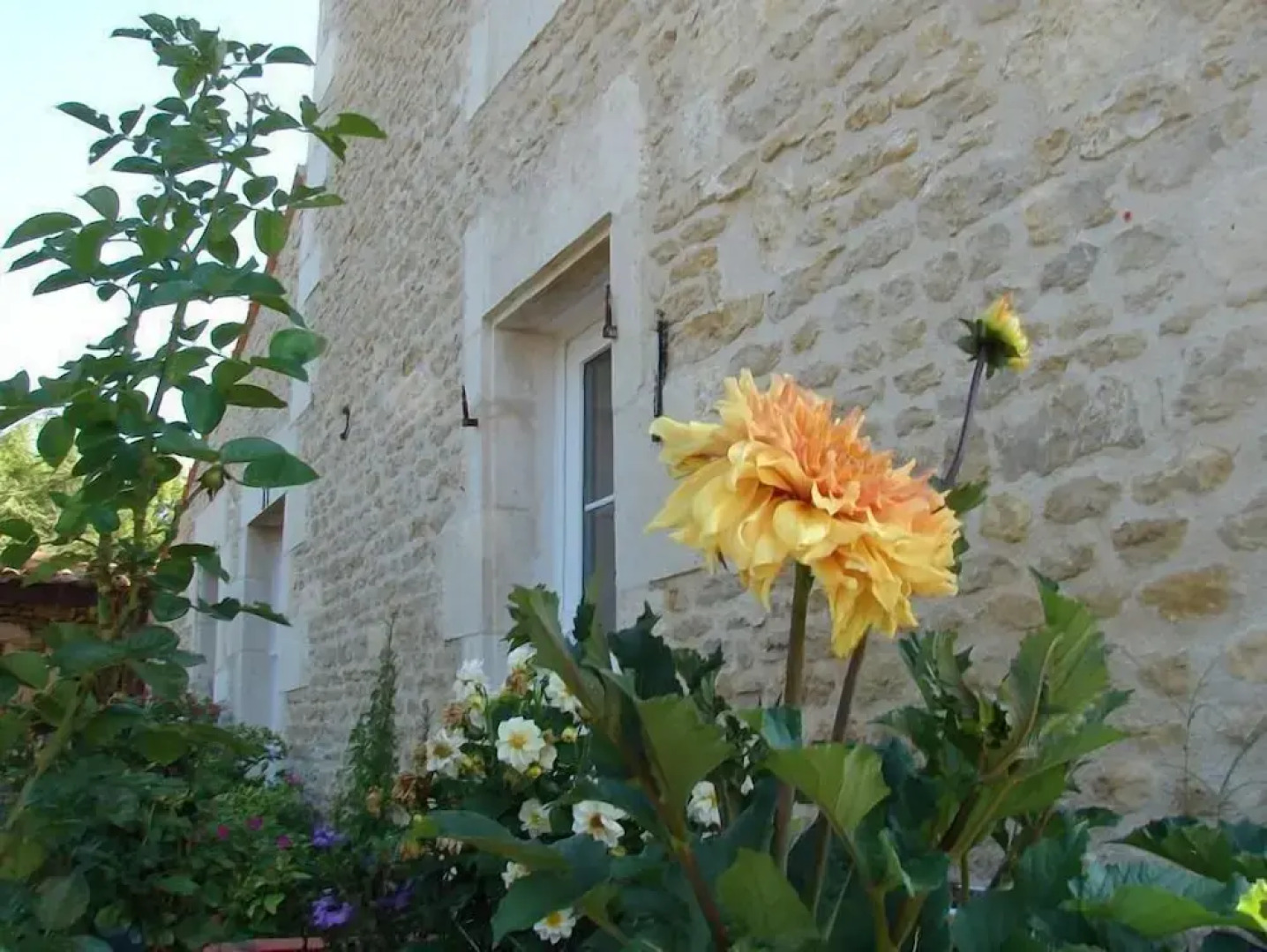 Chambres d'Hôtes Le Marais Picotin