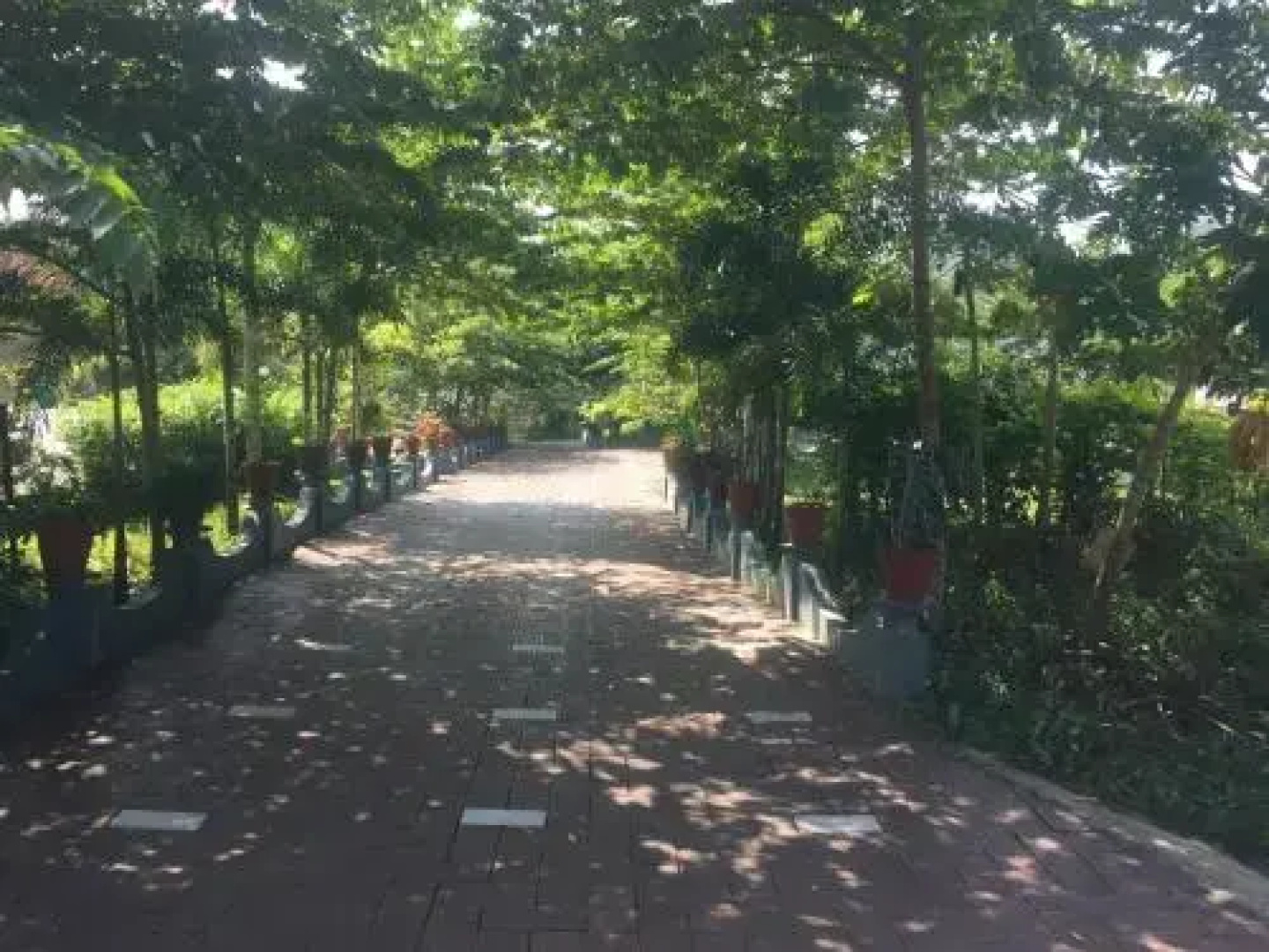 Wayanad Cave N Pillar Resort