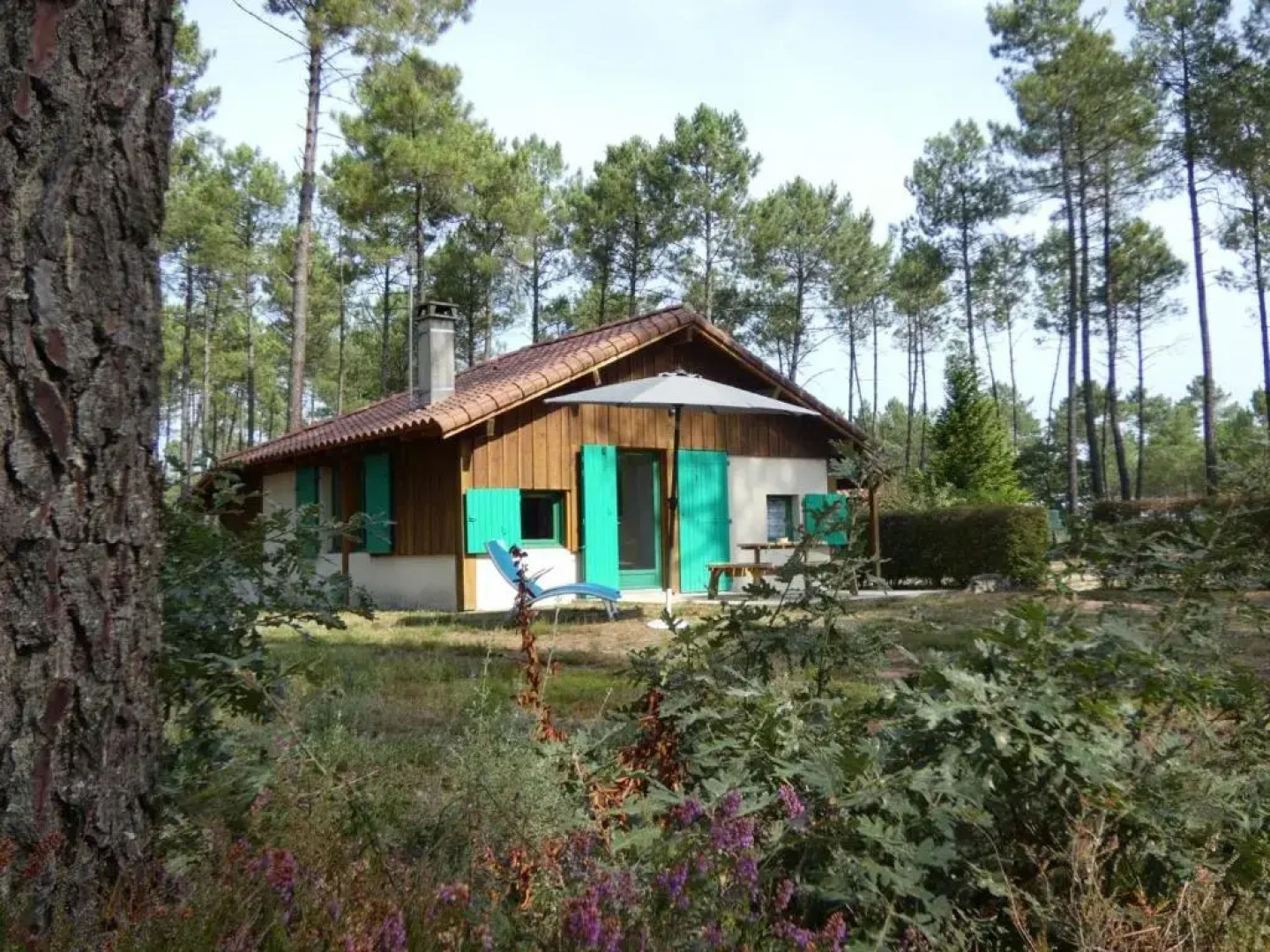 Gîte Luxey, 3 pièces, 4 personnes - FR-1-360-388