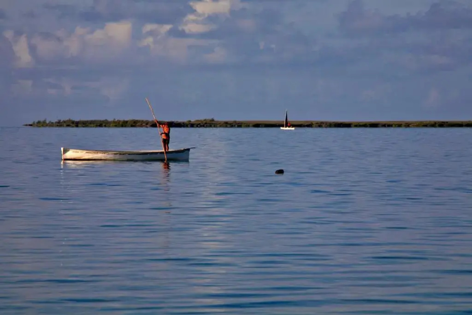 Constance Tekoma. Rodrigues