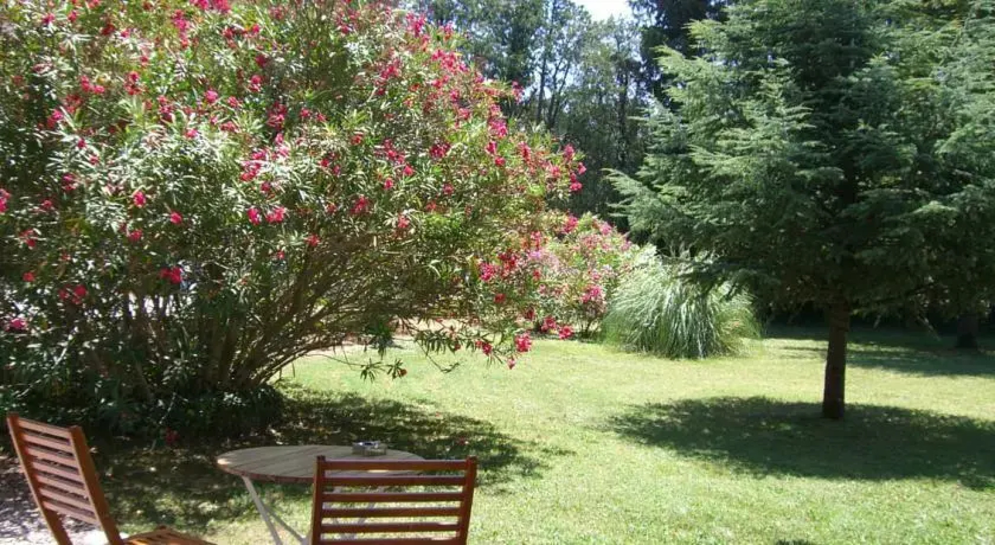 La Cigale au Bord de Leau