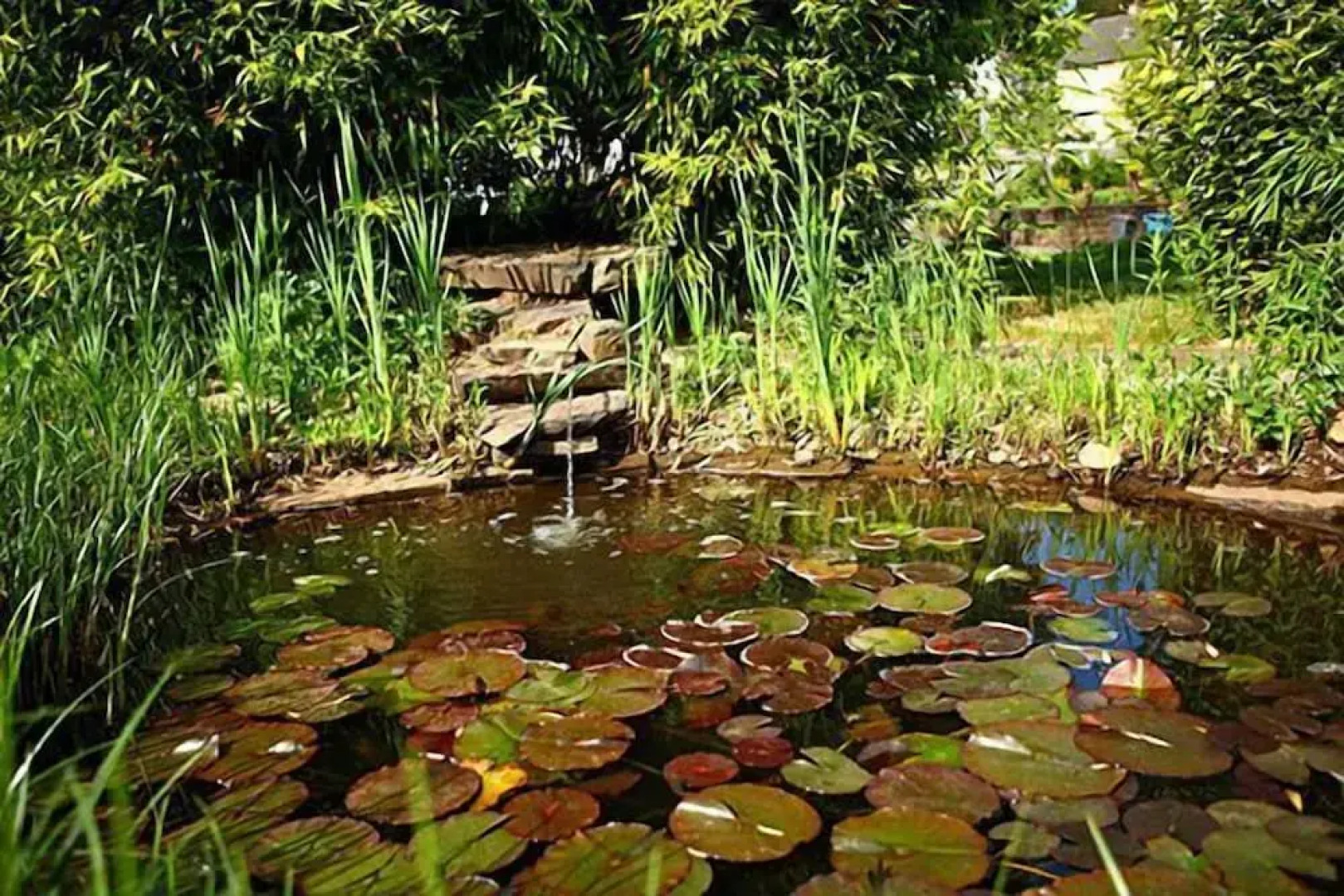 Hôtel-Restaurant DAHM